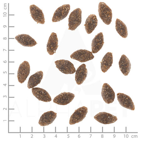 Wolfsblut Alaska Salomon Adult Medium - 12,5kg