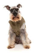 hundefrakker, hundefrakke, varm hundejakke, hundejakke tilbud