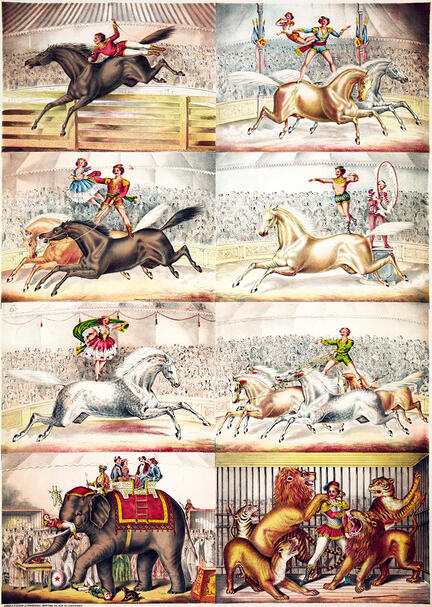 fotomester circus cirkus plakat