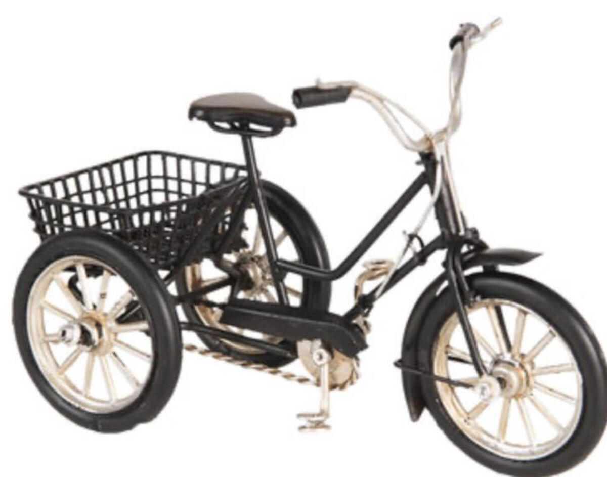 el cargo cykel