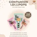 Companion Lollipop Smagspakke | 3 slags Companion Slikkepinde