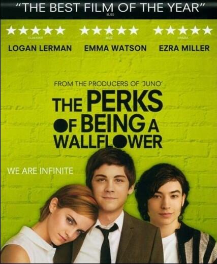 The Perks of Being a Wallflower, Fordelene ved at være bænkevarmer, DVD