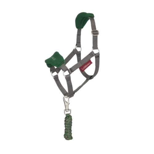 Lemieux Mini Toy Pony Grime Sæt Hunter Green