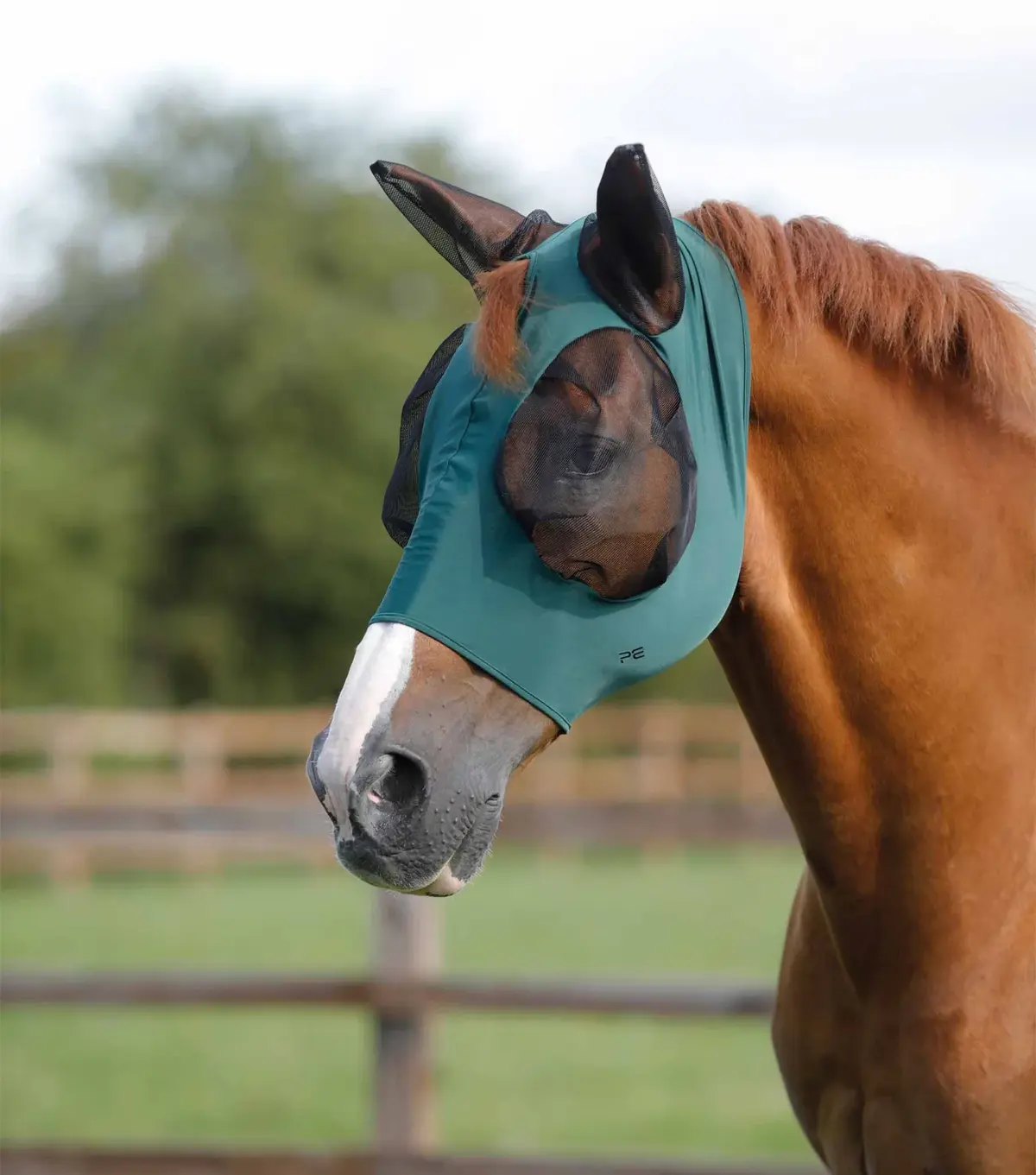 Masque Anti-Mouches Equilibrium Relief Max – Noir/Rouge, Taille Petit, Protection UV Et Insectes Pour Chevaux
