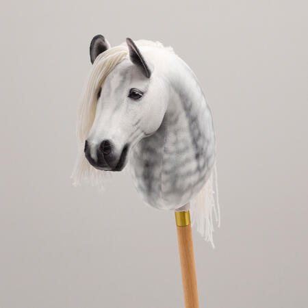 Cheval Roi Le Monde kæphest Paloma