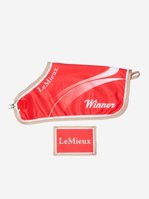 LeMieux SS25 Toy Pony sejrsdækken