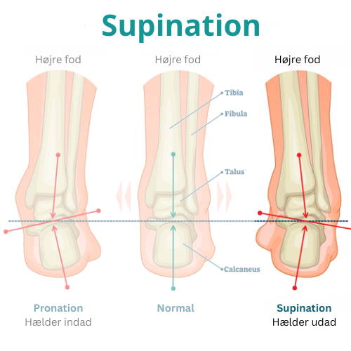 Hvad er supination?