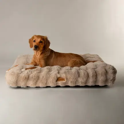 Scruffs Alpine pude - Champagne