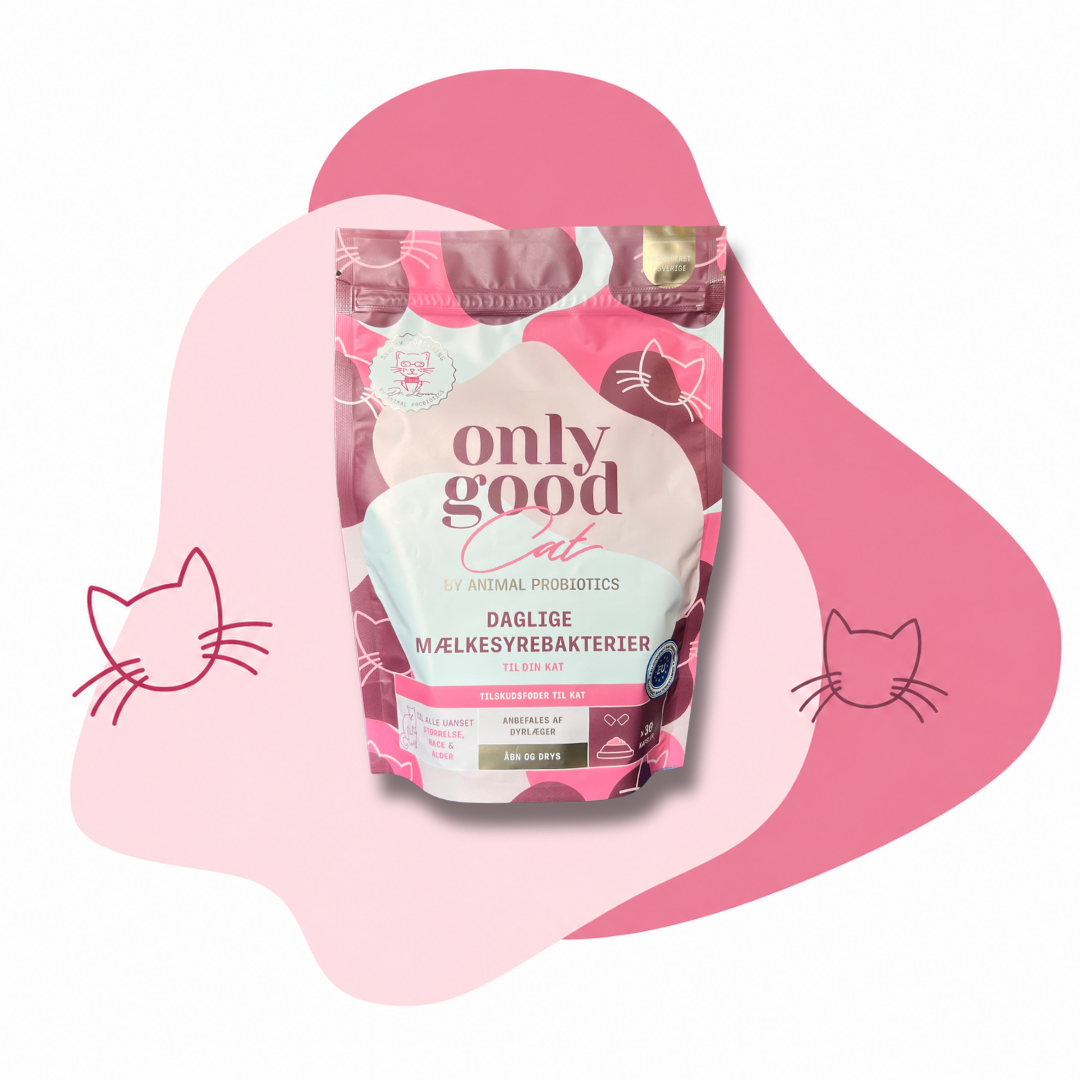 OnlyGoodCat – small pakke – 15 portioner