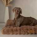 Scruffs Alpine pude - Taupe