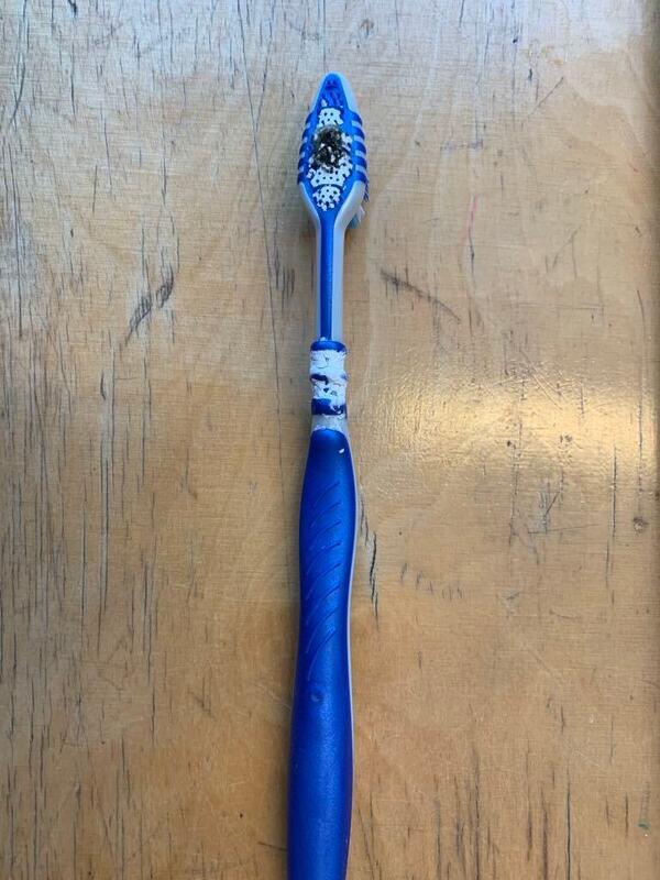 Billedet viser skimmelsvamp på oversiden af en tandbørste