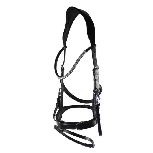 Kapsun trense - Pony