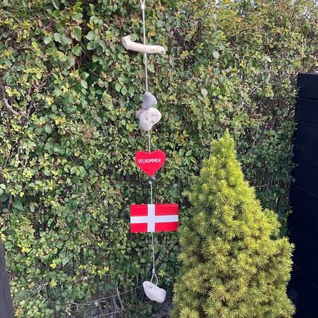 Sommerhus flagline træflag med sten på snor stenranke.Flag med måge. stenranke med dannebrog. Velkommen hjerte