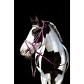 HKM "Santa Fe" lyserød pony trense