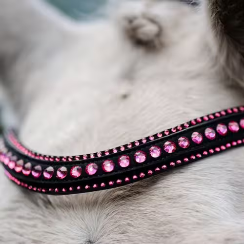 Horseware Diamante Flash trense