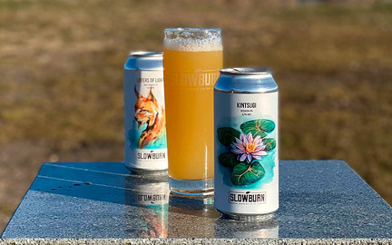 Slowburn - 2 IPA'er og et glas